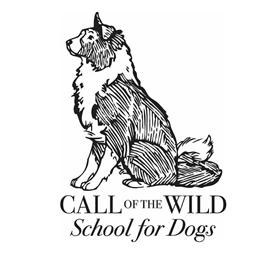 Call of the Wild School for Dogs photo